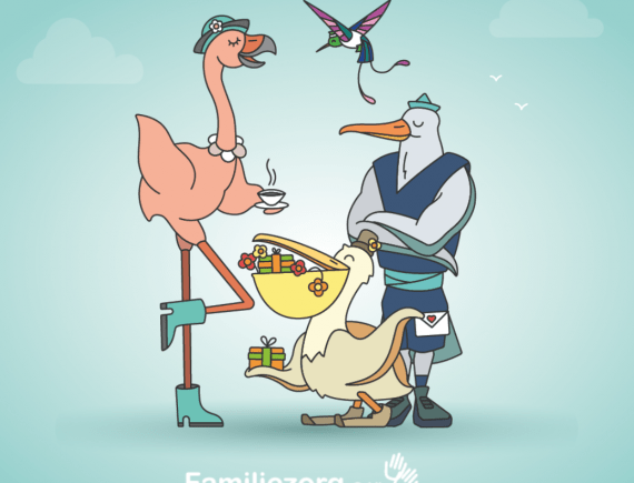 Afbeelding met vier geïllustreerde vogels: een flamingo, pelikaan, albatros en kolibrie die vriendelijk met elkaar converseren. Campagnebeeld voor de opleiding tot verzorgende van Familiezorg Oost-Vlaanderen.